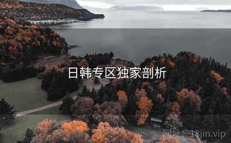日韩专区独家剖析