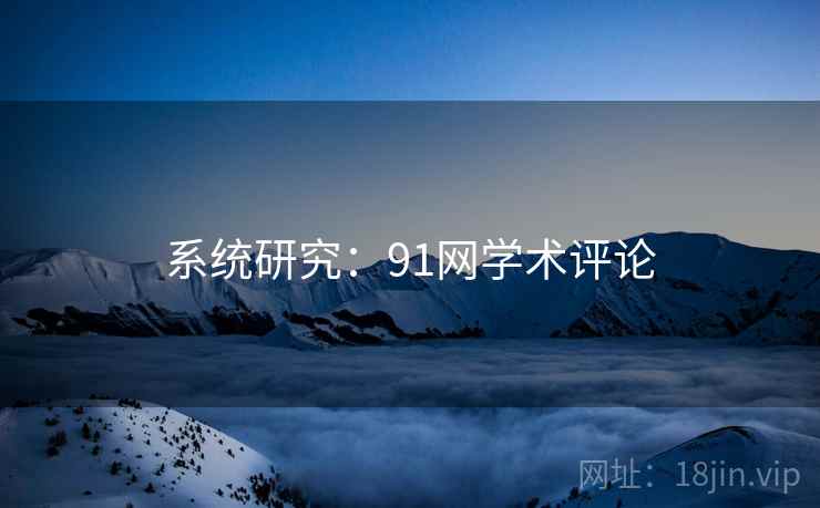 系统研究：91网学术评论