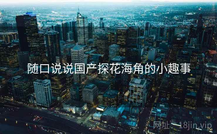 随口说说国产探花海角的小趣事