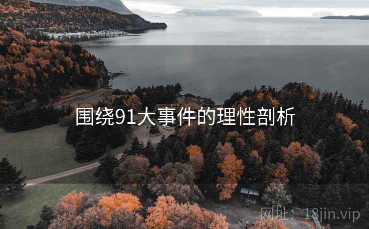 围绕91大事件的理性剖析