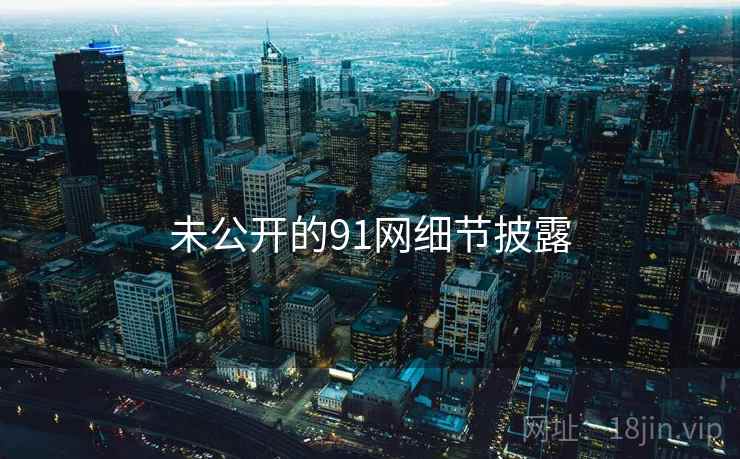 未公开的91网细节披露