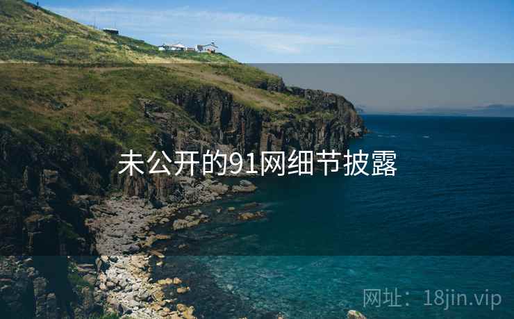 未公开的91网细节披露