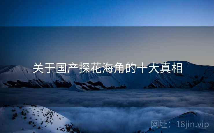 关于国产探花海角的十大真相