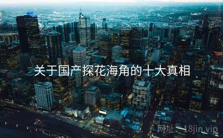 关于国产探花海角的十大真相
