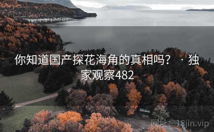 你知道国产探花海角的真相吗? · 独家观察482
