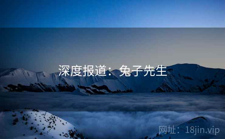 深度报道:兔子先生
