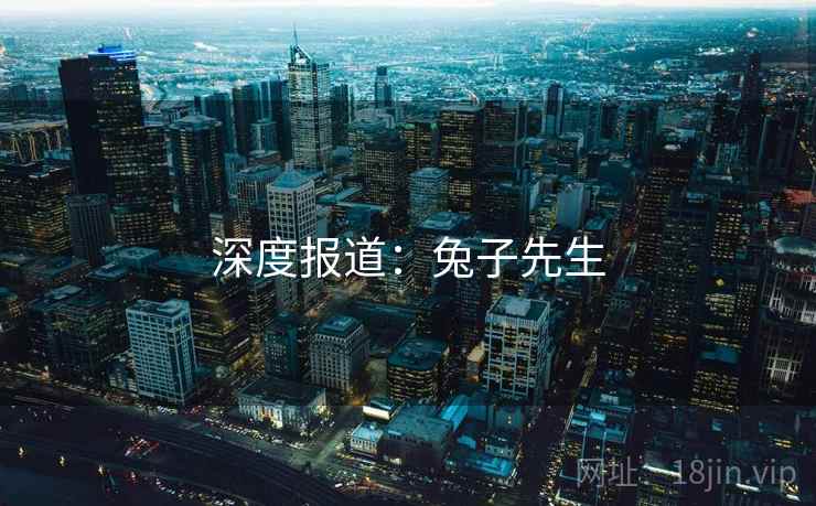深度报道:兔子先生