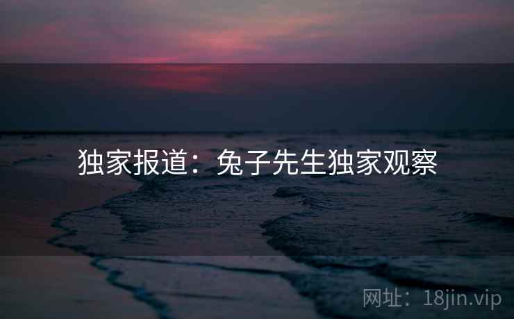 独家报道:兔子先生独家观察