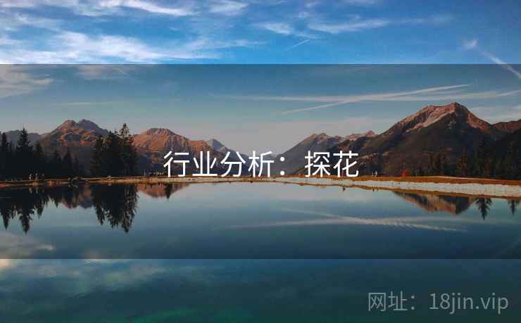行业分析:探花