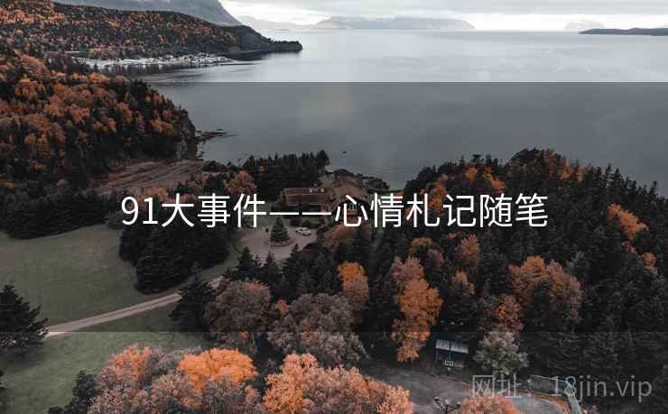 91大事件——心情札记随笔