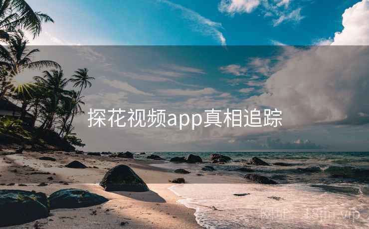 探花视频app真相追踪