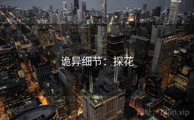 诡异细节:探花