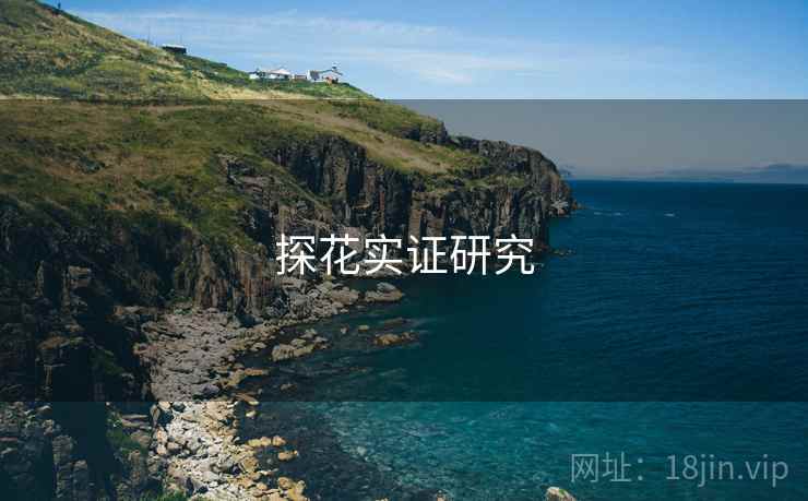 探花实证研究