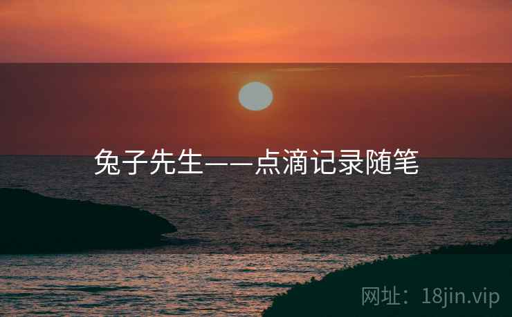 兔子先生——点滴记录随笔