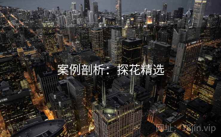 案例剖析：探花精选