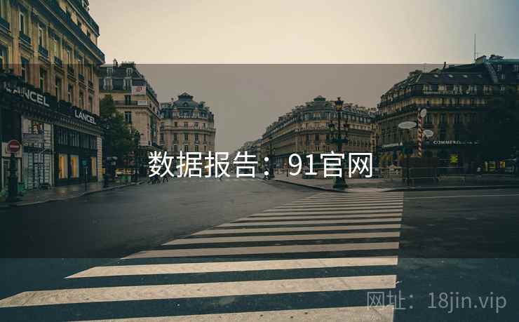 数据报告:91官网