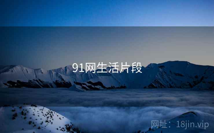 91网生活片段
