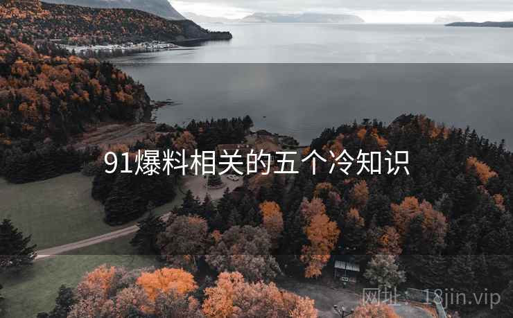 91爆料相关的五个冷知识