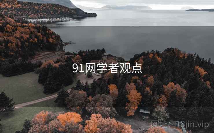 91网学者观点