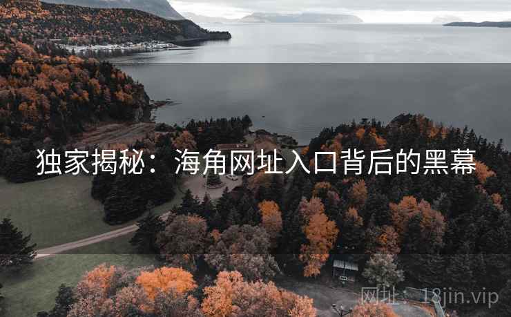 独家揭秘:海角网址入口背后的黑幕