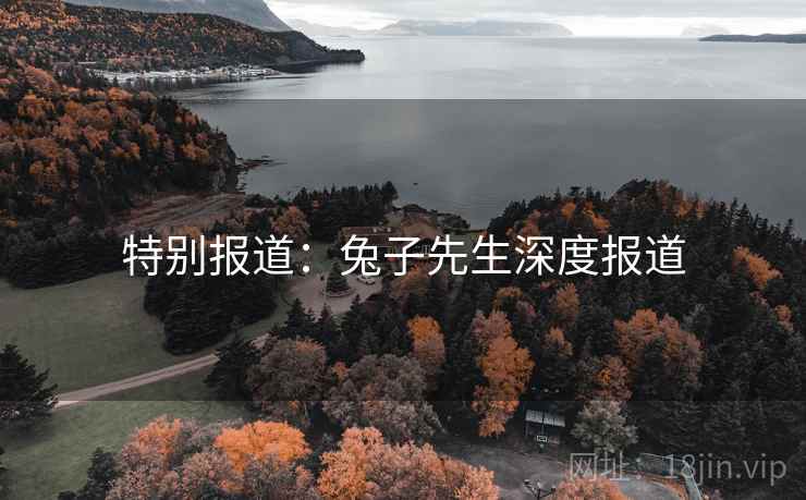特别报道:兔子先生深度报道