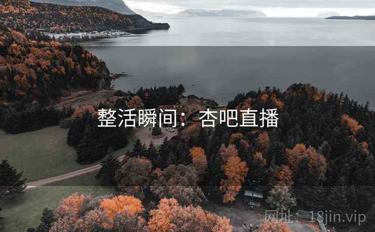 整活瞬间:杏吧直播