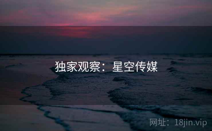 独家观察:星空传媒 独家观察:星空传媒