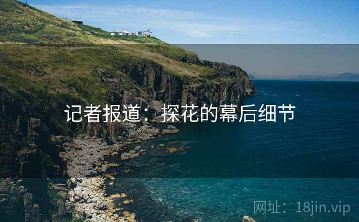 记者报道:探花的幕后细节 记者报道:探花的幕后细节