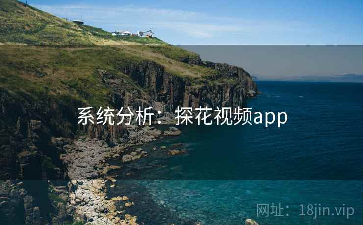 系统分析:探花视频app